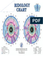iridology-chart.pdf