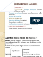 AGENTES DESTRUCTORES DE LA MADERA.ppt