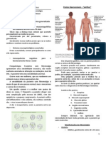 CLÍNICA MÉDICA – Fibromialgia 28.08.14 – Marcos Ottoni .docx