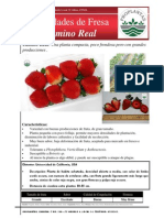 FICHA TECNICA FRESA Camino-Real PDF