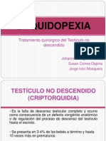 88493074-ORQUIDOPEXIA.pdf