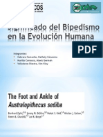 4.significado Del Bipedismo en La Evolución Humana