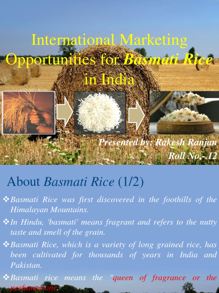 Basmati Rice: International Market Insights | PDF