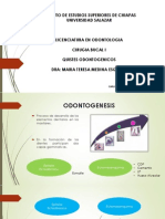 Quistes Odontogenicos Dra Medina