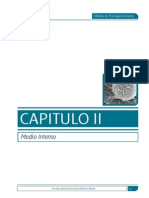 cap 2 medio interno.pdf