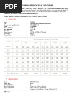 Triplex Pump PDF