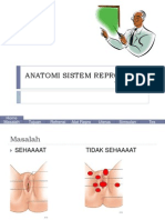 Contoh PW Model Anatomi Sistem Reproduksi Wanita