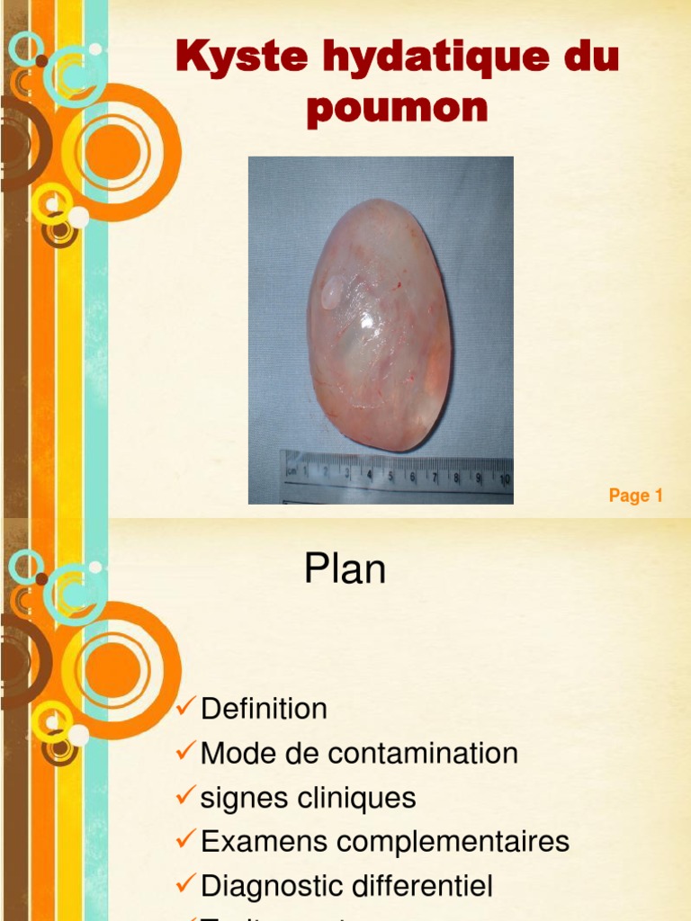 Kyste hydatique pulmonaire : définition et traitement | PDF | Sciences ...