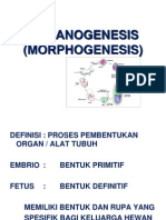 09-Organogenesis