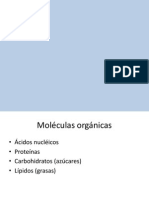5_Acidos nucleicos_ADN_nuevo.pdf