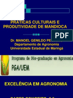 Variedades e Material de Plantio de Mandioca PDF