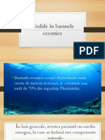 Mediile În Bazinele Oceanice