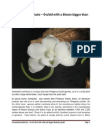 Amesiella Monticola PDF