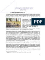Cultivo Caucho Natural PDF