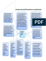 Principios Rectores Del NCPP