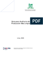 Auditoría PML (1).pdf