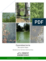 Cyanobacteria (Blue-green Algae) Guidance for Vermont Communities