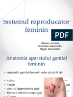 Sistemul Reproducator