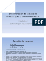 Determinación de Tamaño de Muestra para Encuesta PDF