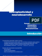 neuroplasticidad-neurodesarrllo-y-funciones-cognitivo-emocionales-67.ppt