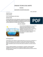 CICLO DEL CARBONO.docx