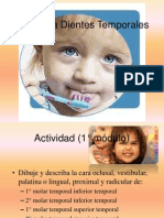 Anatomadientestemporales 100927223818 Phpapp01 - 2 PDF