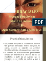 Pruebas bioquimicas (CSM y TSI).pptx