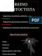 proto.ppt