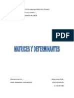 Matrices y Determinantes