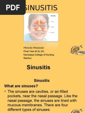 Sinusitis Diseases And Disorders Medical Specialties