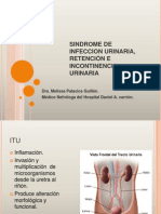 07.Infecciones del Tracto Urinario- Dra. Palacios.ppt