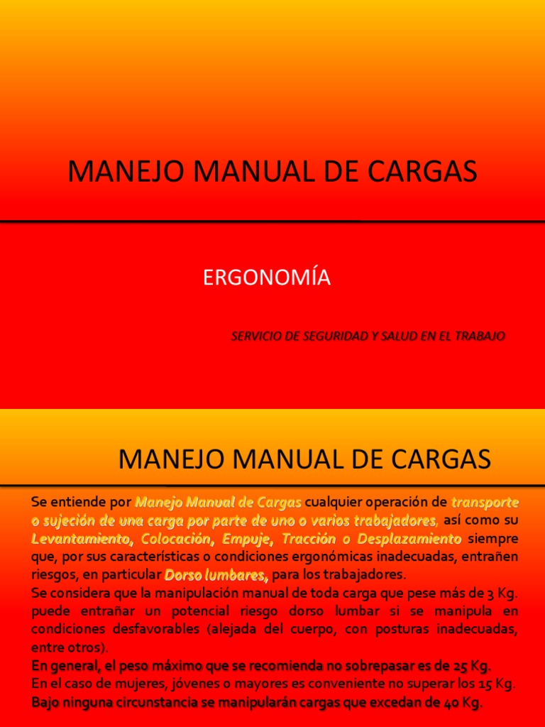 Manejo de Cargas | PDF | Factores humanos y ergonomía | Pie