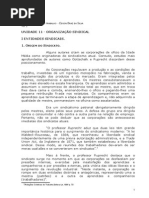 Unidade 16 Organização Sindical .doc
