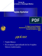 Tejido Epitelial PDF