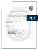 04 Informe Orga