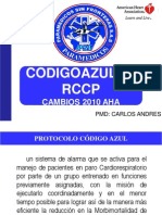 RCP y Codigo Azul PSF 2013 PDF