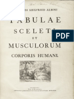 Albinus Tabulae sceleti et musculorum corporis humani - Bernhard Siegfried