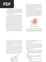 Download Tumor Parotis by VicKy Amalia SN244564141 doc pdf