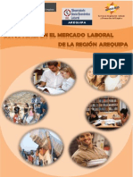 Diagnostico_Arequipa022011.pdf