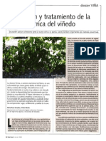 Intervenciones frente a la clorosis férrica en viticultura.pdf