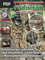 EL PRODUCTOR REVISTA - AÑO 10 - 125 - OCTUBRE 2010 - PARAGUAY - PORTALGUARANI