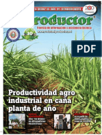EL PRODUCTOR REVISTA - AÑO 10 - 128 - ENERO 2011 - PARAGUAY - PORTALGUARANI