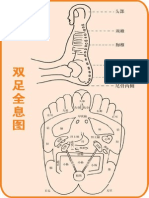 人体部位全息图和反射图