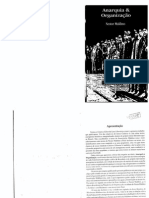 Anarquia e Organização PDF