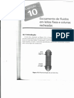 Capítulo 10 - Escoamento de Fluidos em Leitos Fixos e Colunas Recheadas PDF