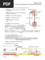 ficha-formativa-reproduc3a7c3a3o-e-manipulac3a7c3a3o-fertilidade.pdf
