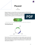 Plasmid.pdf