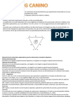 Tilley PDF