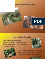 Selva Seca y Selva Humeda PDF
