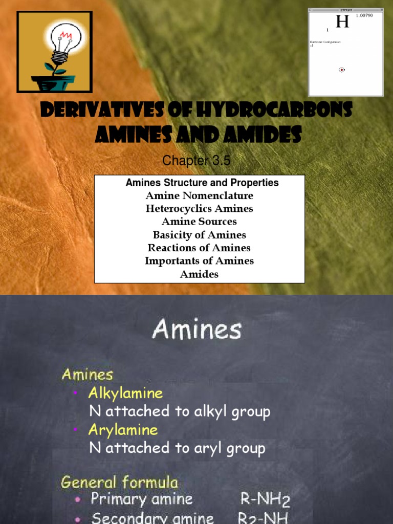 Derivatives of Hydrocarbons: Amines and Amides | PDF | Amine | Amide